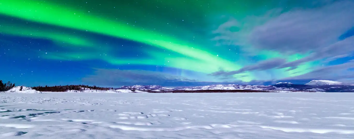 Northern lights and a wintery scene