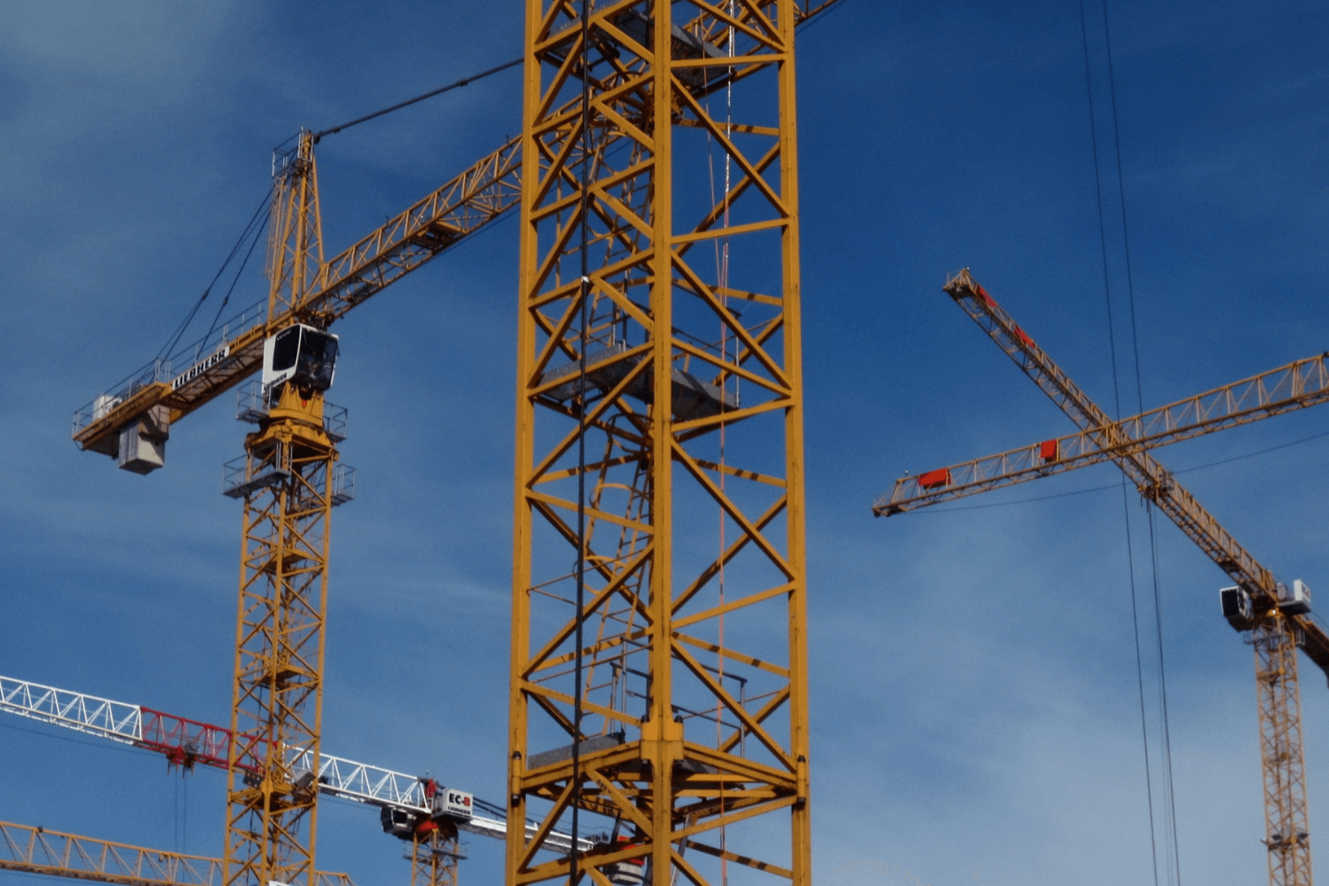 close up of cranes