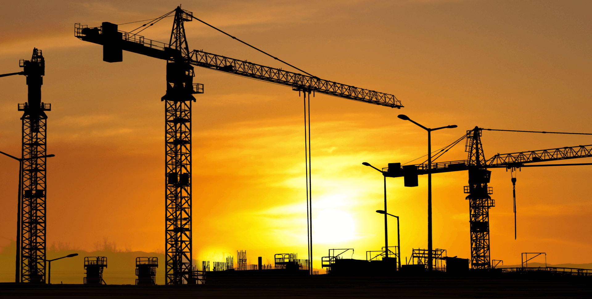 cranes against sunset